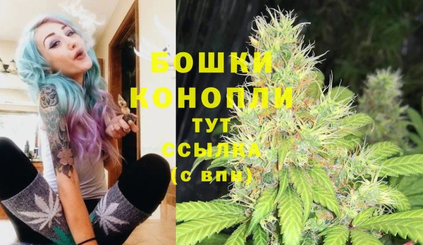 трава Пересвет
