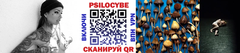 Галлюциногенные грибы мицелий  Спас-Клепики 
